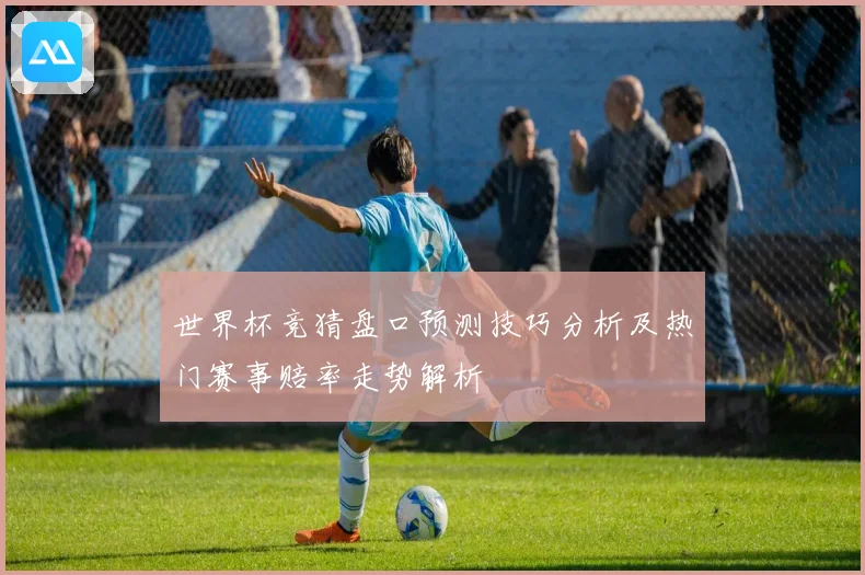 世界杯竞猜盘口预测技巧分析及热门赛事赔率走势解析
