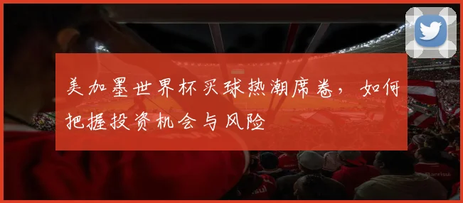 美加墨世界杯买球热潮席卷，如何把握投资机会与风险